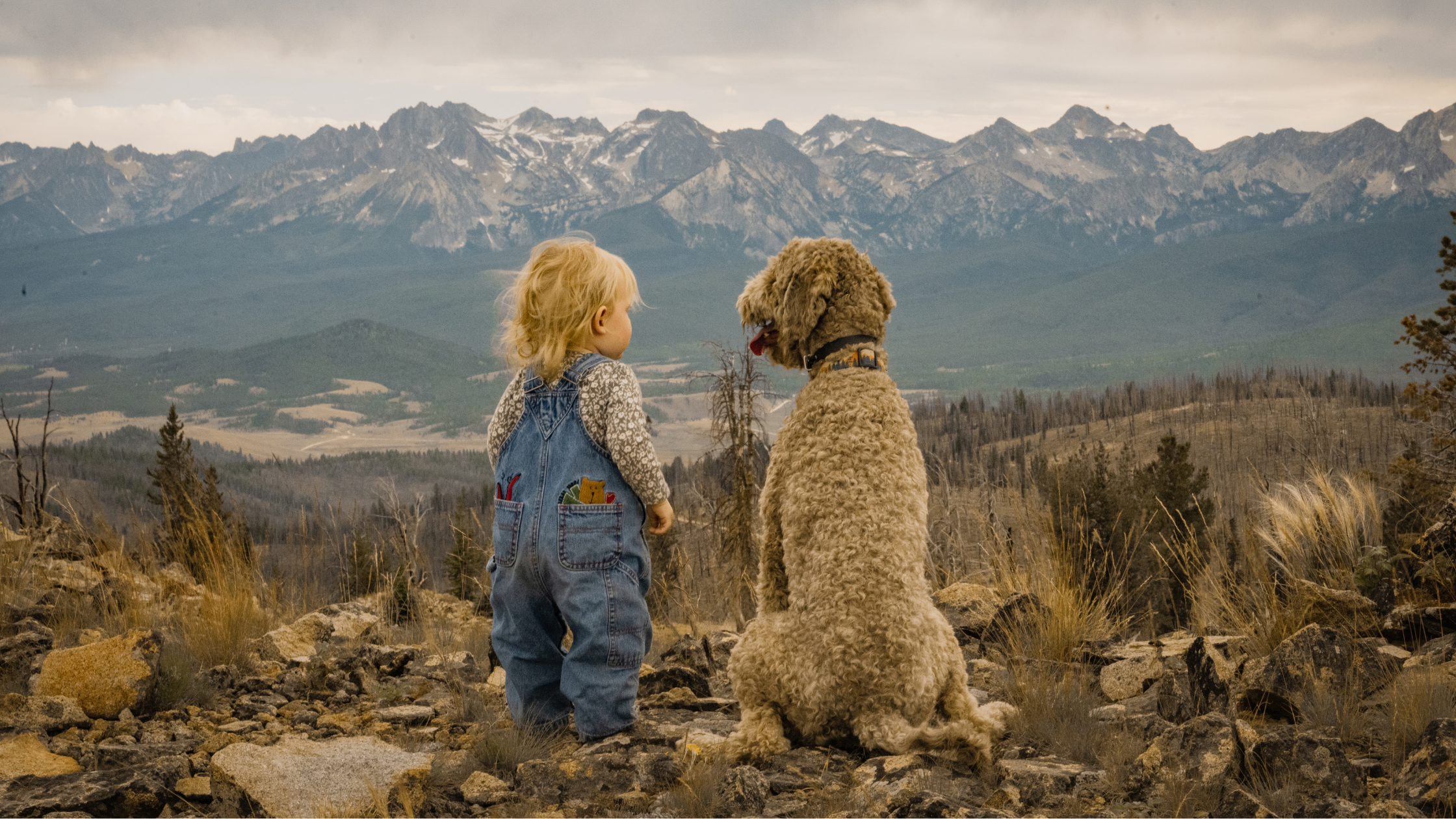 Kleinkund und Hund schauen gemeinsam in schöne Landschaft   mit Hochebene und Bergen