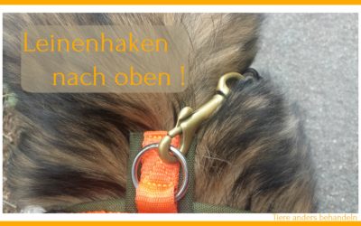 Leinenhaken nach oben!