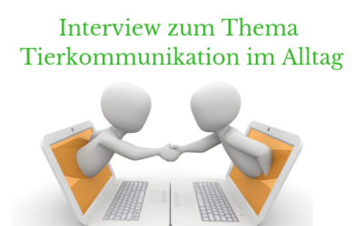 Interview zum Thema Tierkommunikation im Alltag