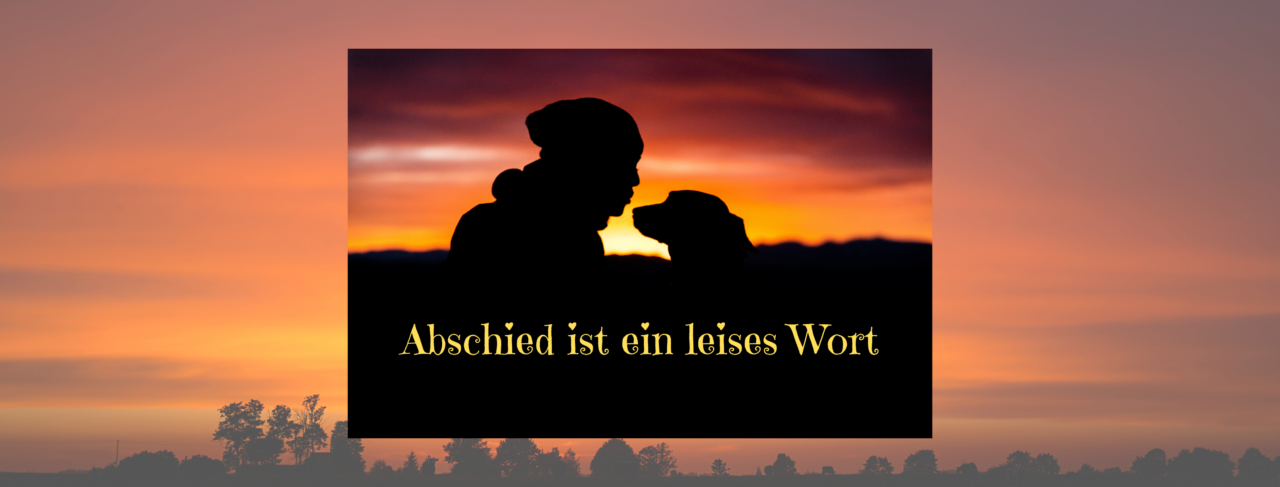 Voller Liebe Abschied Nehmen - Tiere-anders-behandeln.de