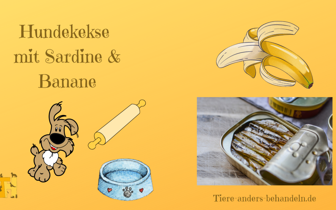 Sardinen-Hirse-Kekse mit Banane