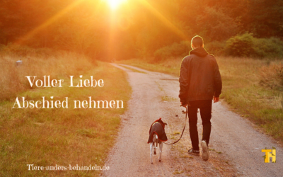 Voller Liebe Abschied nehmen