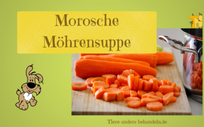 Morosche Möhrensuppe bei Durchfall