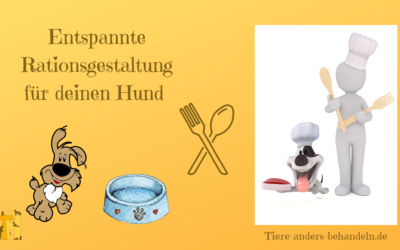 Rationsgestaltung Hund