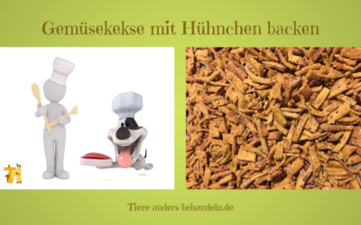 Ressourcenorientierte Hundeernährung