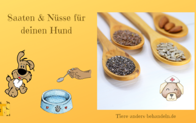 Nüsse und Saaten in der Hundeernährung