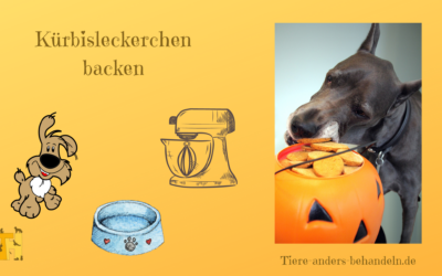 Hundekekse mit Kürbis