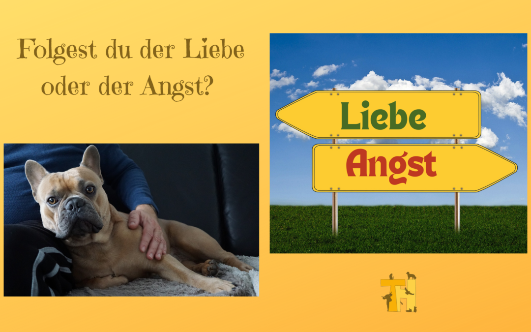 Intuition Liebe Angst
