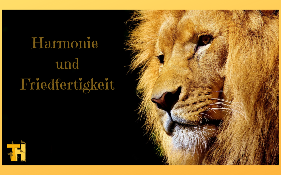 Tierkommunikation Löwe Harmonie