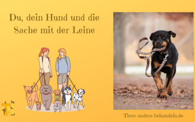 Hunde, Menschen und die Sache mit der Leine