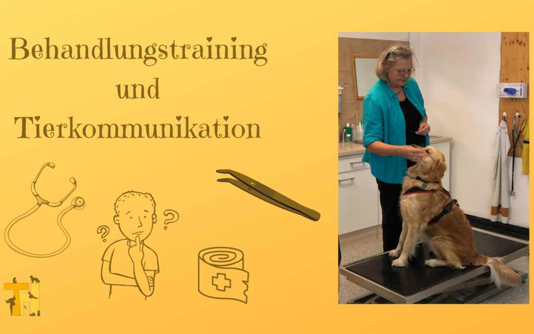 Medicaltraining und Tierkommunikation
