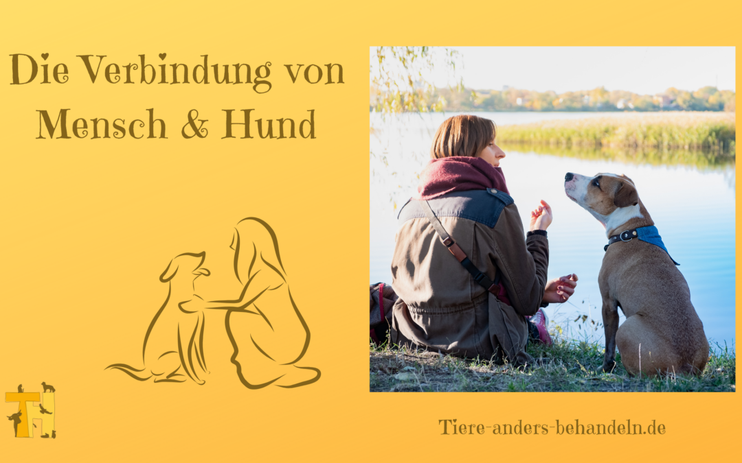 Die starke Verbindung von Mensch und Hund