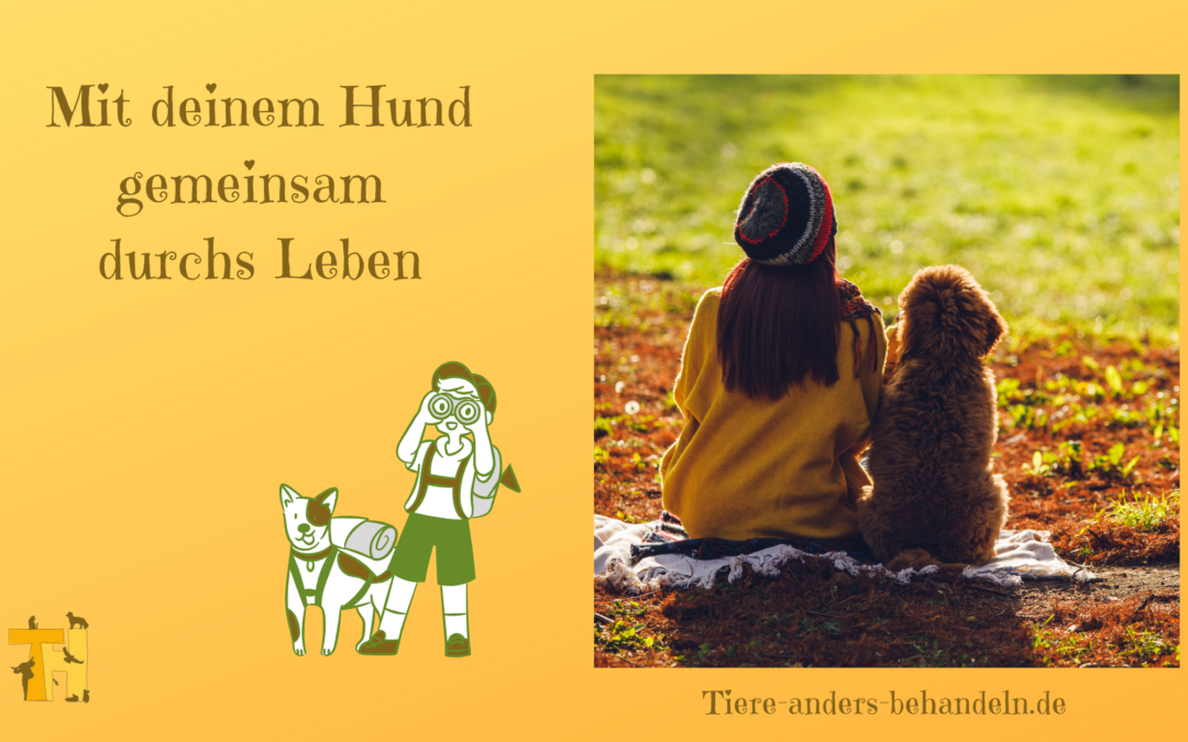 Mit deinem Hund gemeinsam durchs Leben