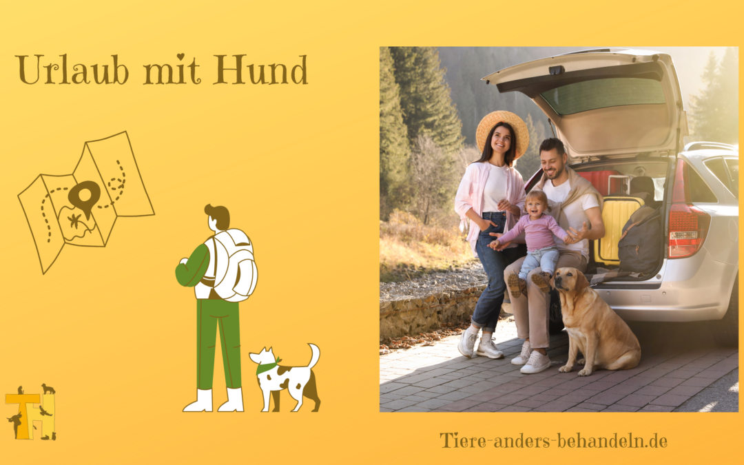 Urlaub mit Hund ob Wandeurlaub oder Familienurlaub mit Hund, Reiseplanung hilft