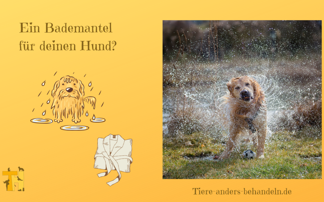 Es sind zwei tropfnasse Hunde zu sehen, beide würden in dieser Situation einen Bademantel brauchen können