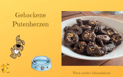 Rezept – gebackene Putenherzen für deinen Hund