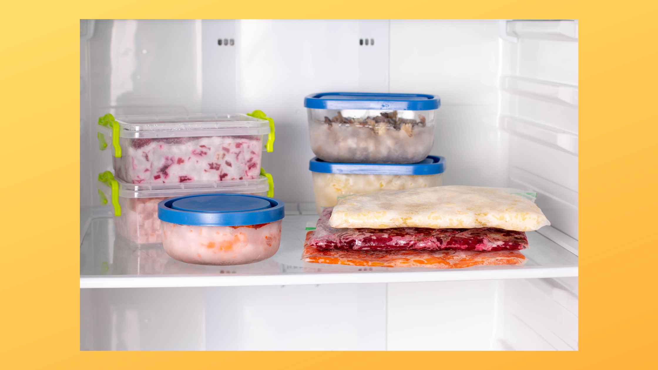 Mealprep Hund Mensch Reiseproviant