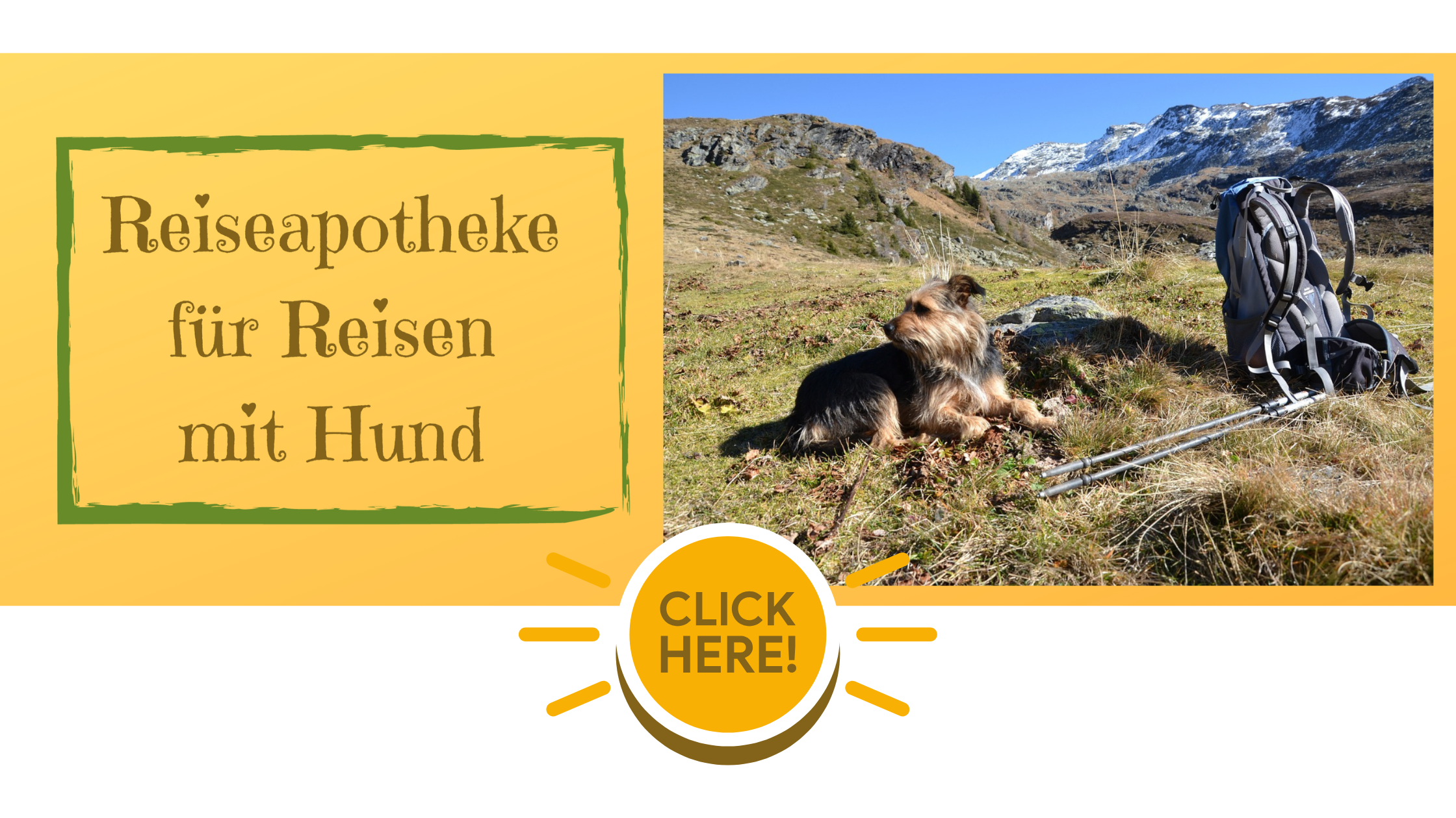 Checkliste Reiseapotheke Hund Die fertig gebackenen Putenherzen kühlen auf dem Backblech aus