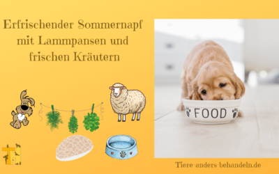 Rezept – erfrischender Sommernapf mit Lammpansen